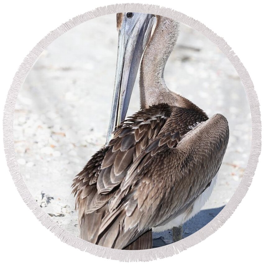 Pelicans Round Beach Towel featuring the photograph Close Up of Pelican by Mingming Jiang