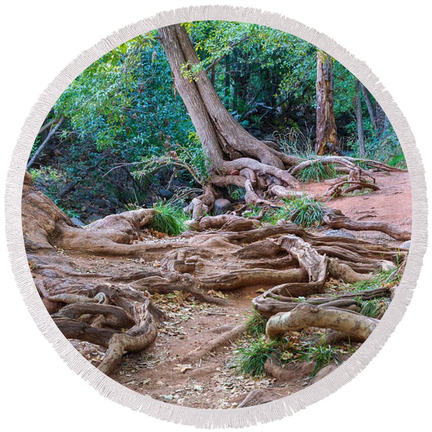 Roots Trees Tangle Twisted Landscape Fstop101 Sedona Oak Creek Canyon Round Beach Towel featuring the photograph Tangled Roots by Geno