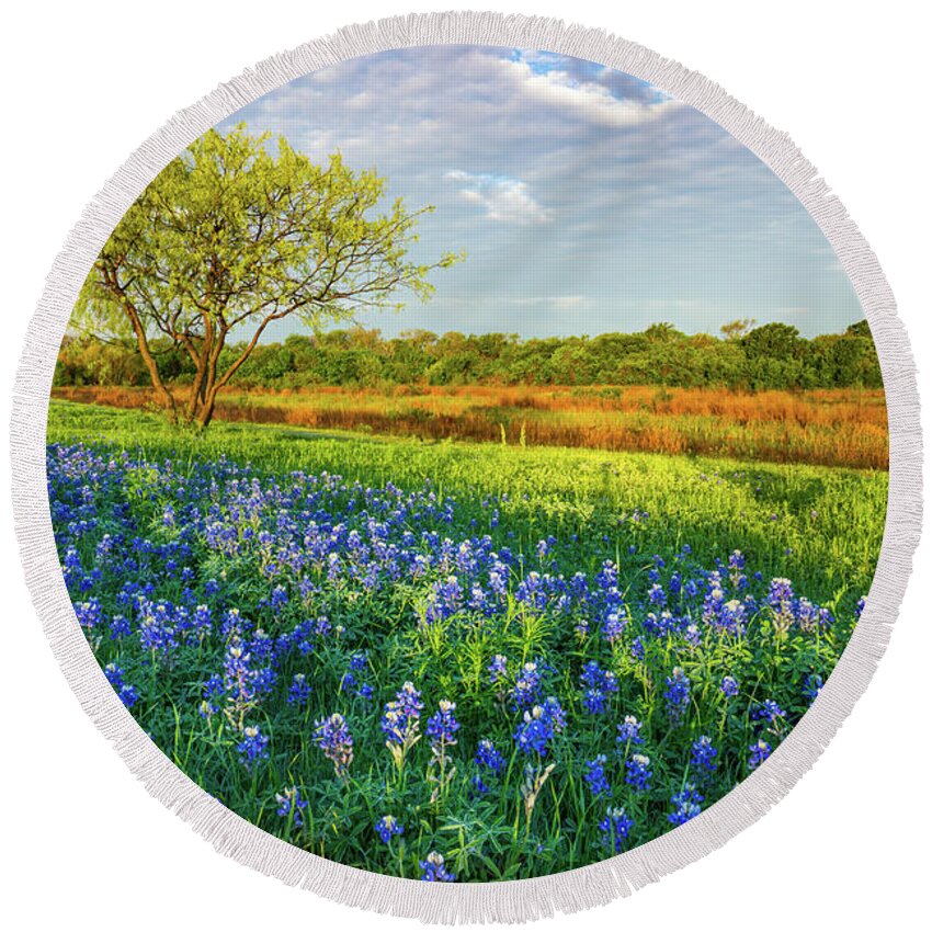 Texas Round Beach Towel featuring the photograph Texas Morning Bluebonnets by Ron Long Ltd Photography