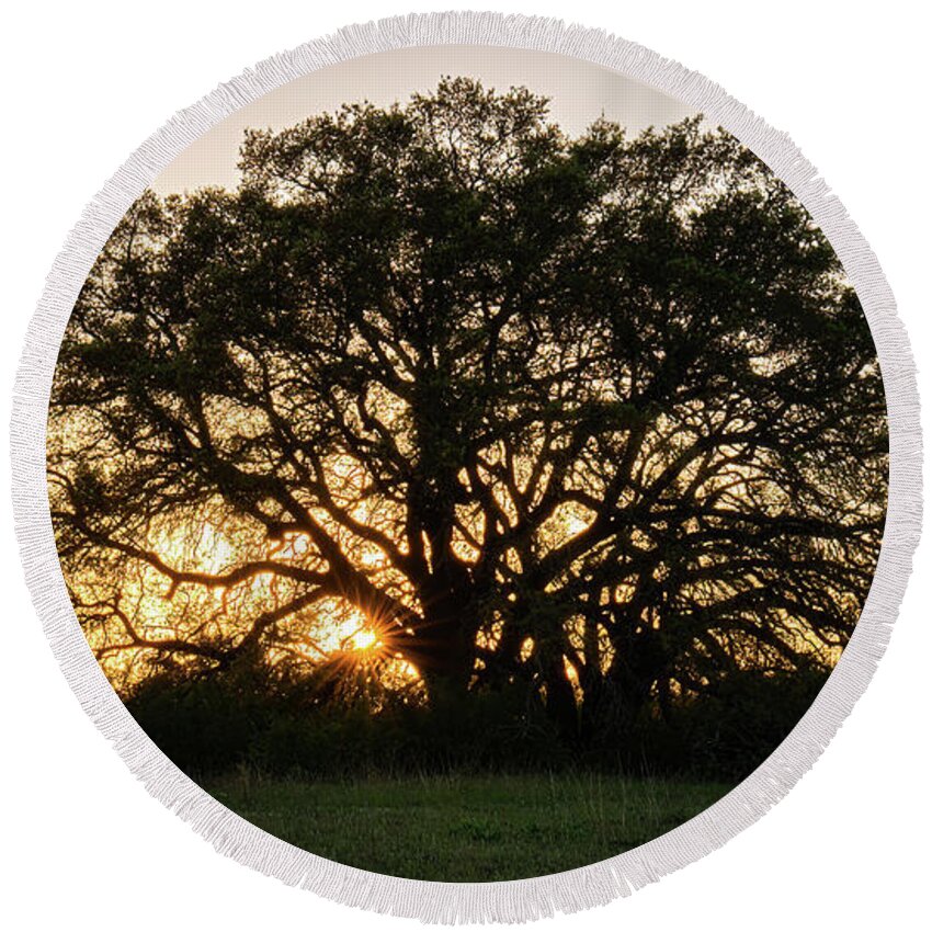 Bosque County Round Beach Towel featuring the photograph Texas Ranch Oak at Sunset by Ron Long Ltd Photography