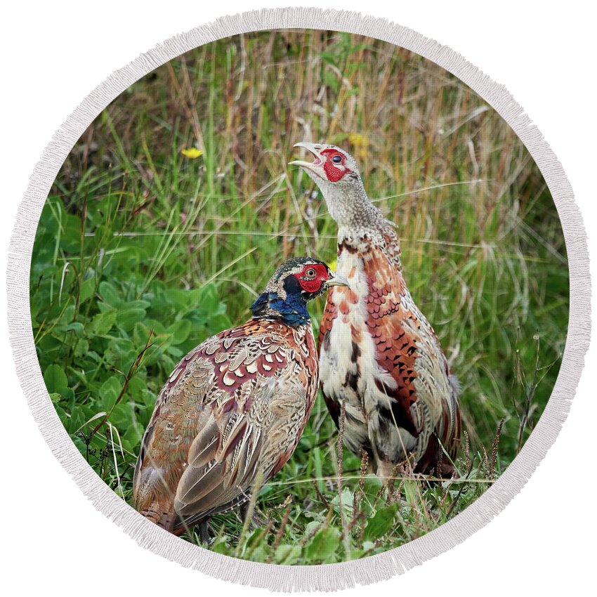 Finland Round Beach Towel featuring the photograph That one is always so loud. Common pheasant by Jouko Lehto