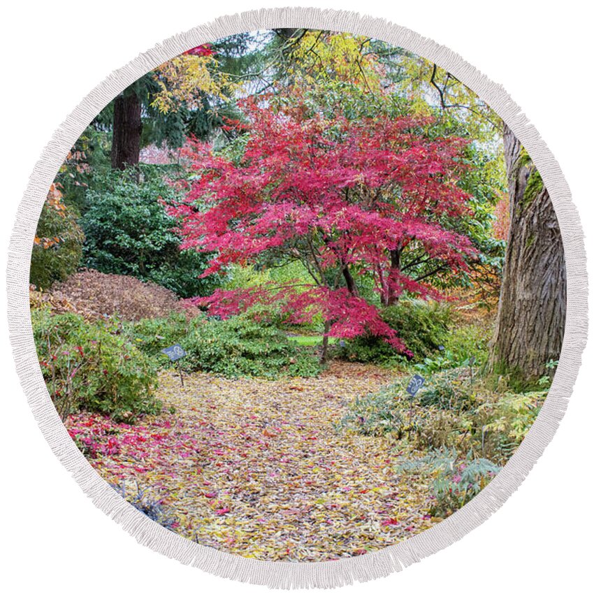 Autumn Round Beach Towel featuring the photograph The Autumn Path by Joan Septembre