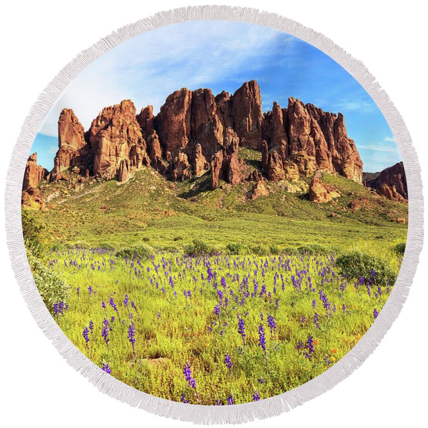 Arizona Round Beach Towel featuring the photograph The Color of Spring by Rick Furmanek