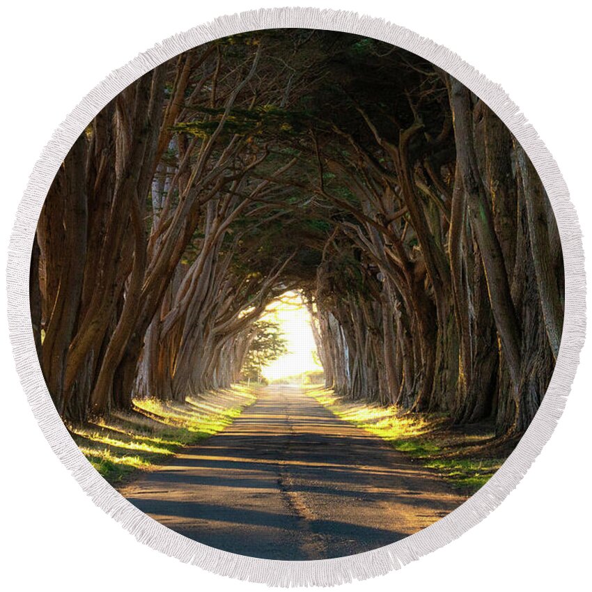 Cypresstrees Round Beach Towel featuring the photograph The Cypress Tree tunnel by Bryan Xavier