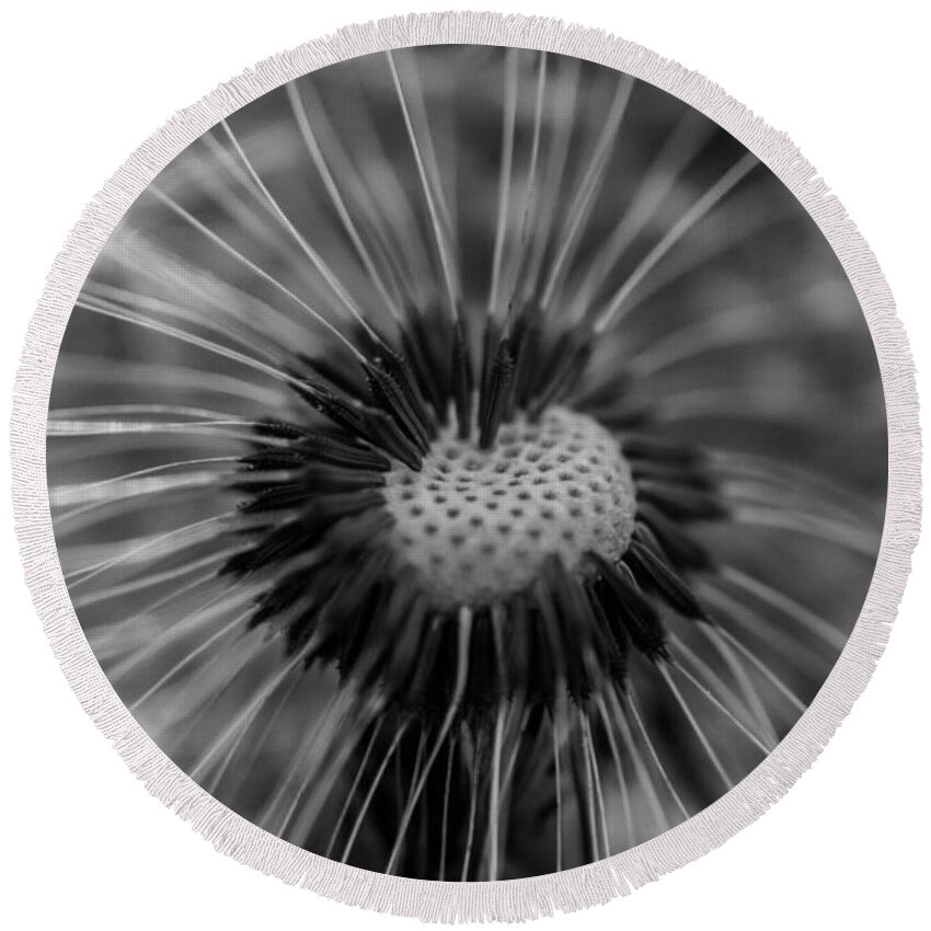 Landscape Round Beach Towel featuring the photograph The dandelion by Jamie Tyler
