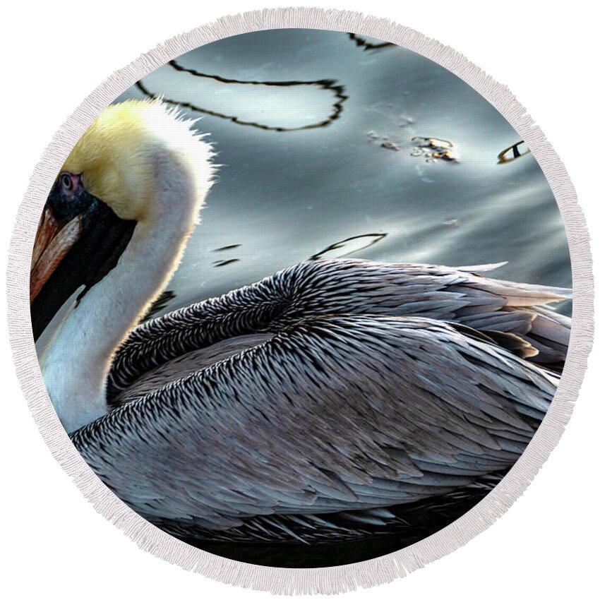 Pelican Round Beach Towel featuring the photograph The Elegant Brown Pelican by Sandra J's