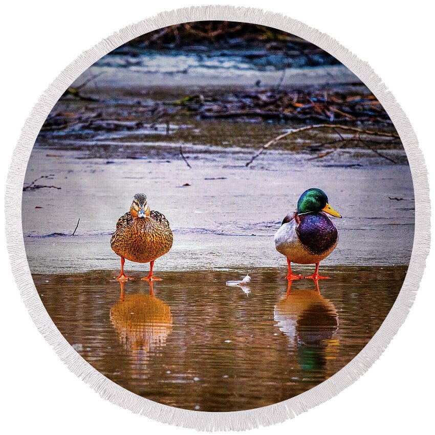 The Featherfeather Round Beach Towel featuring the photograph The feather #k7 by Leif Sohlman