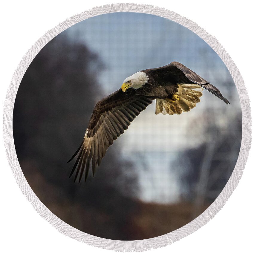 Eagle Round Beach Towel featuring the photograph The Fisherman by Brian Shoemaker