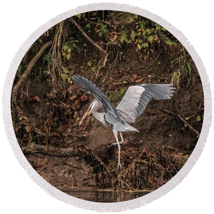 Heron Round Beach Towel featuring the photograph The Fisherman by DArcy Evans