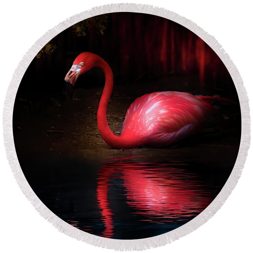 Pink Flamingos Round Beach Towel featuring the photograph The Flamingo That Wished It Were A Swan by Mark Andrew Thomas