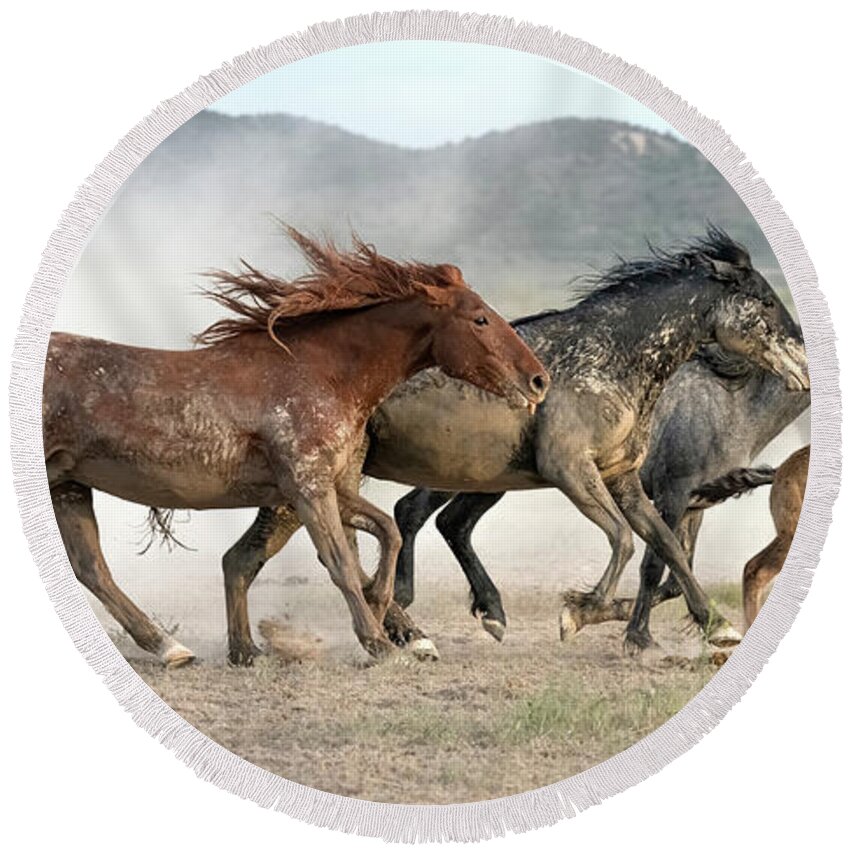Stallion Round Beach Towel featuring the photograph The Foal. by Paul Martin