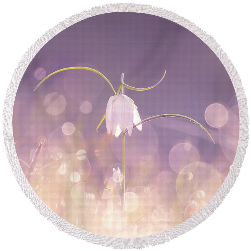 Fritillaria Meleagris Round Beach Towel featuring the photograph The Fritillary Fairy Dance by Roeselien Raimond
