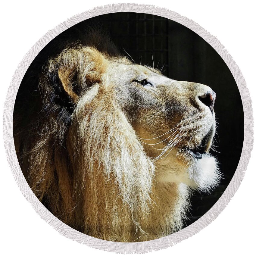 African Lion Round Beach Towel featuring the photograph The King by Scott Olsen