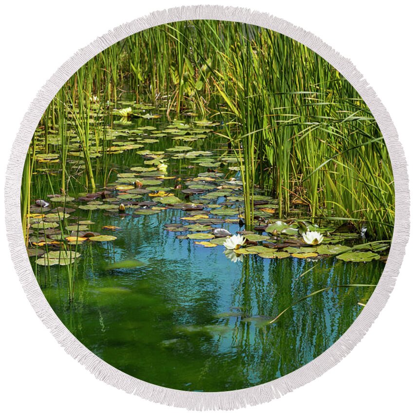 Water Lily Round Beach Towel featuring the photograph The Lily Pond by Bonnie Follett