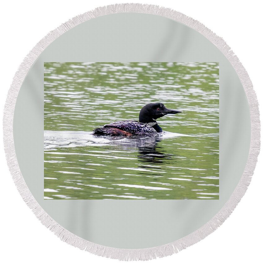 Loon Round Beach Towel featuring the photograph The Loon in the Morning by Regina Muscarella