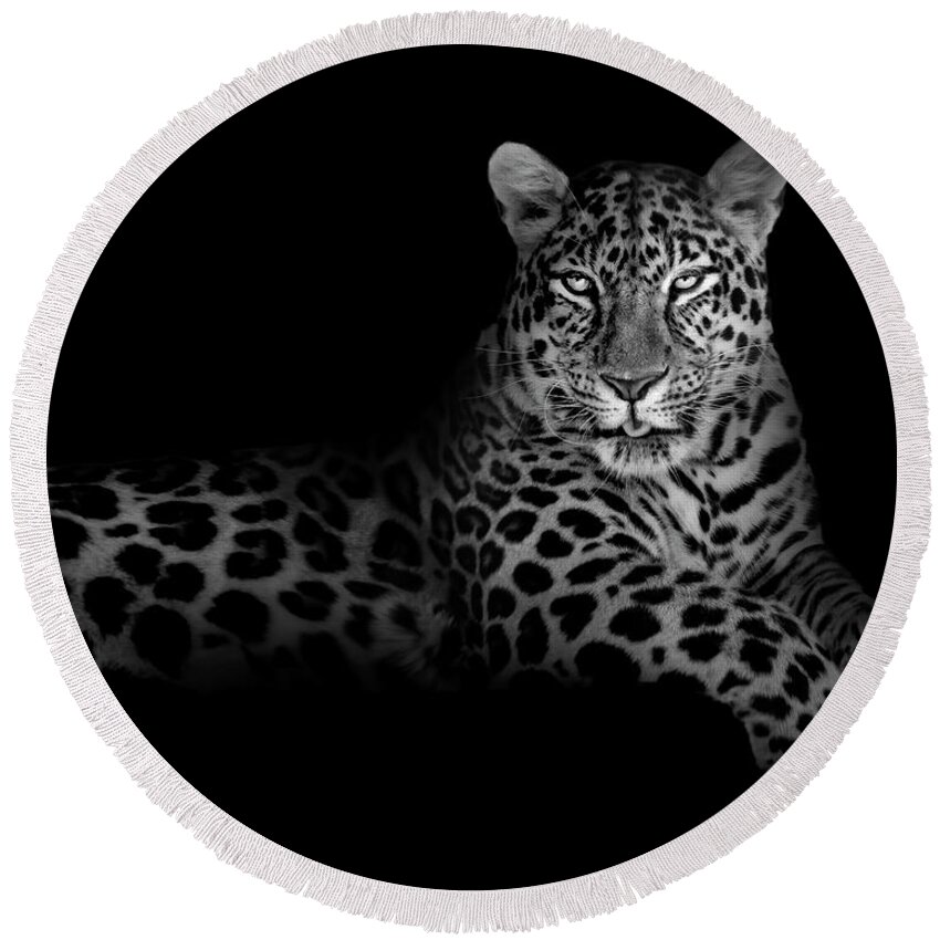 Background Round Beach Towel featuring the photograph The Majestic Leopard by Mark Andrew Thomas