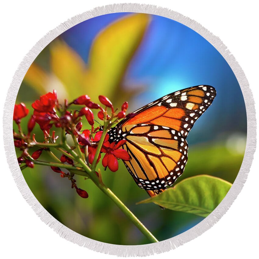 Butterfly Round Beach Towel featuring the photograph The Monarch Butterfly by Mark Andrew Thomas
