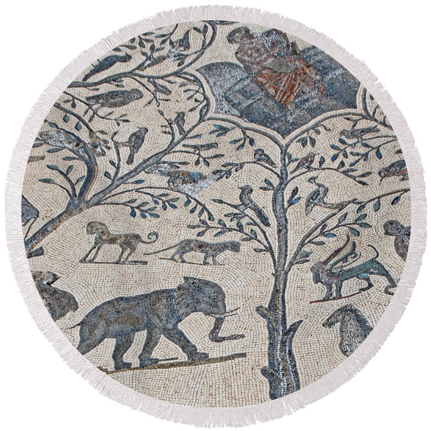 Roman Mosaics Round Beach Towel featuring the photograph The Roman Zoo by Edward Shmunes