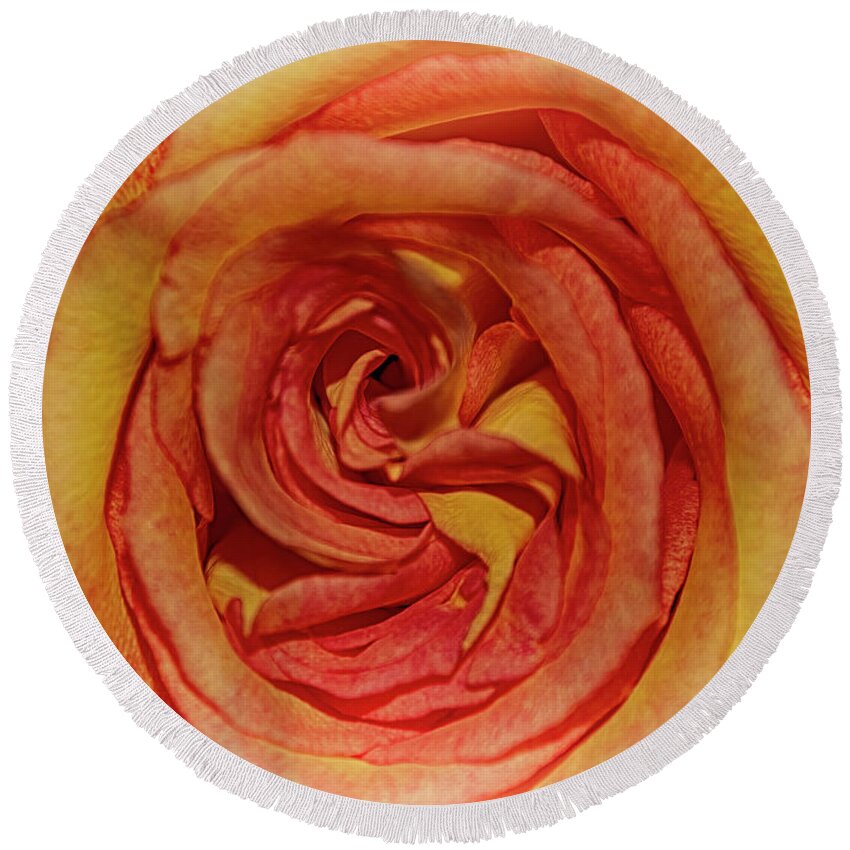  Round Beach Towel featuring the photograph The Rose in Pink Yellow Orange by Janice Pariza