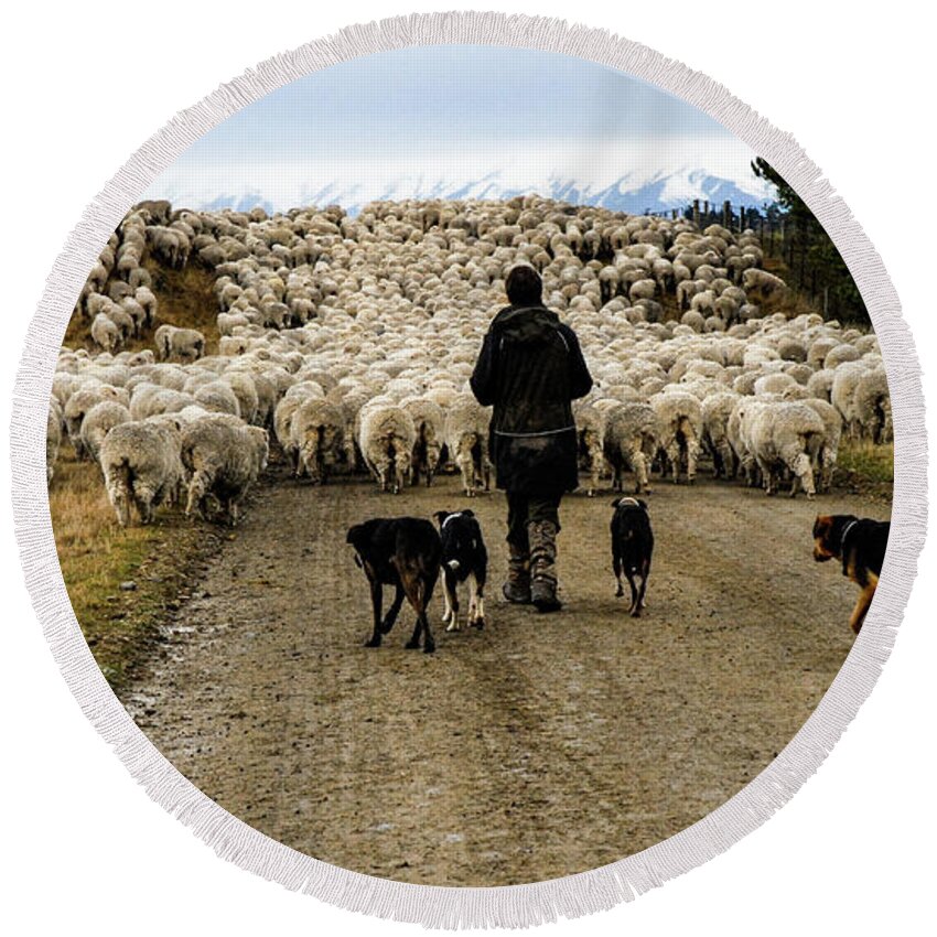 New Zealand Round Beach Towel featuring the photograph While Shepherds Watched - High Country Muster, South Island, New Zealand by Earth And Spirit