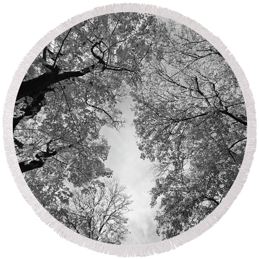 Nature Round Beach Towel featuring the photograph The sky is shimmering through the leaves of maple trees - monochrome by Ulrich Kunst And Bettina Scheidulin