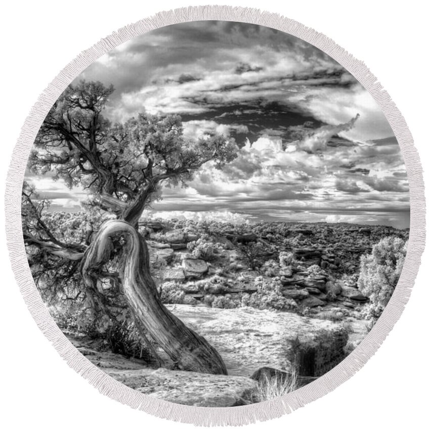 Nationalparks; Utah; Black And White; Tree; Wisdom; Ancient; Native American; Department Of Interior Round Beach Towel featuring the photograph The Spirit Tree - Canyonlands National Park - Utah by William Rainey