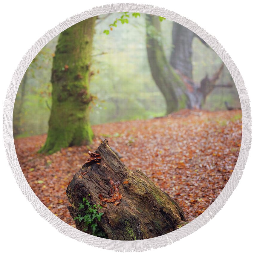 Autumn Round Beach Towel featuring the photograph This Autumn goes all the way to 11 by Gavin Lewis