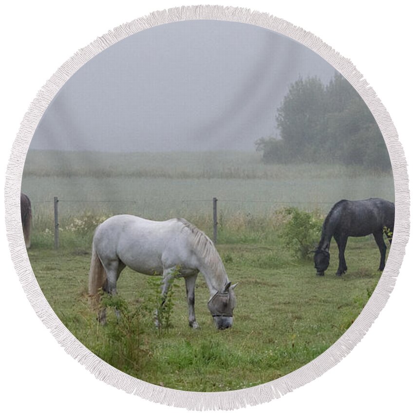 Three Horses Round Beach Towel featuring the photograph Three horses in a pasture a foggy morning by Torbjorn Swenelius