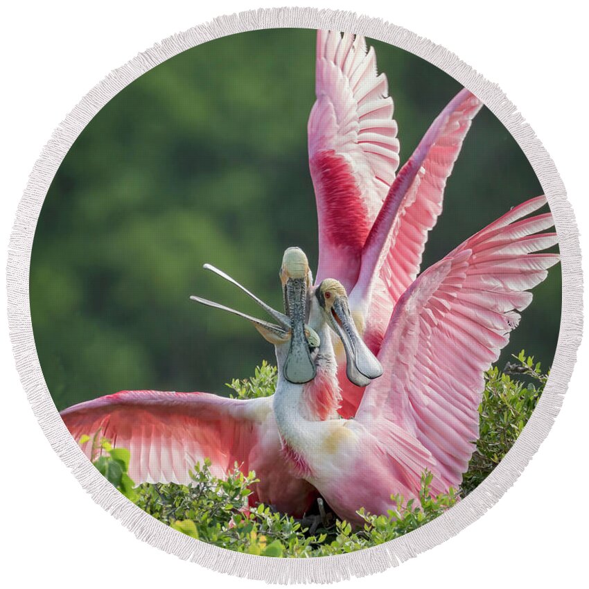 Roseate Spoonbill Round Beach Towel featuring the photograph Three is Not A Company by Jurgen Lorenzen