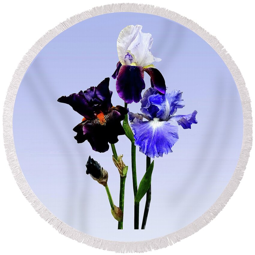 Iris Round Beach Towel featuring the photograph Three Kinds of Irises by Susan Savad