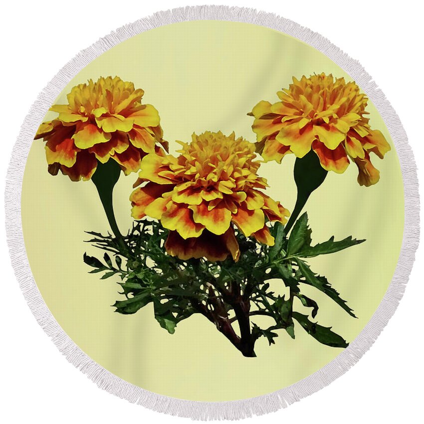 Marigolds Round Beach Towel featuring the photograph Three Marigolds by Susan Savad