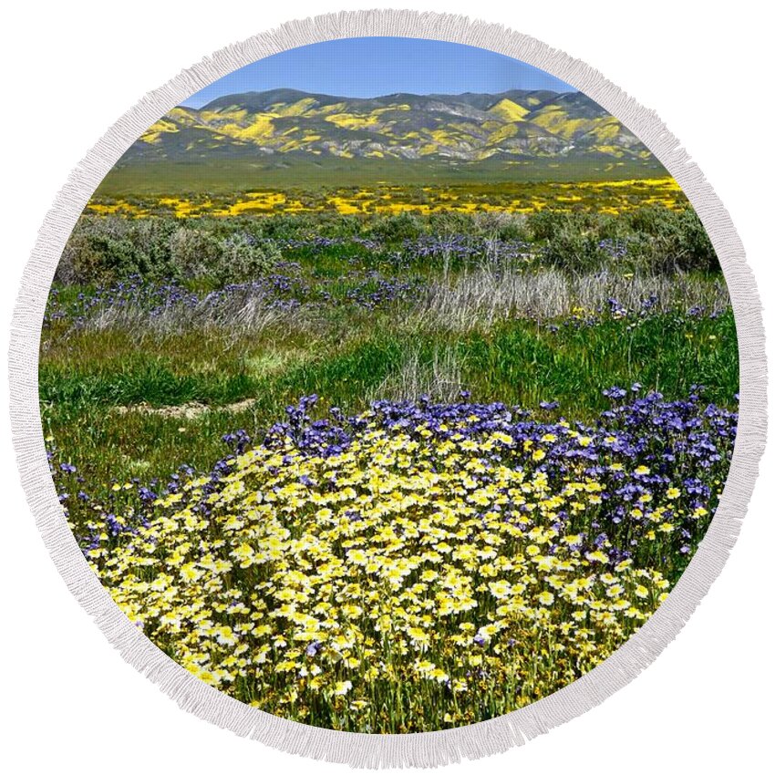 Carrizo Plain Round Beach Towel featuring the photograph Tidy Tips and Great Valley Phacelia Super Bloom Carrizo Plain by Amelia Racca