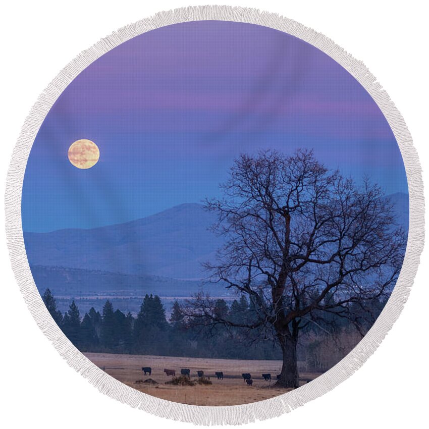 Moonrise Round Beach Towel featuring the photograph Till the Cows Come Home by Randy Robbins