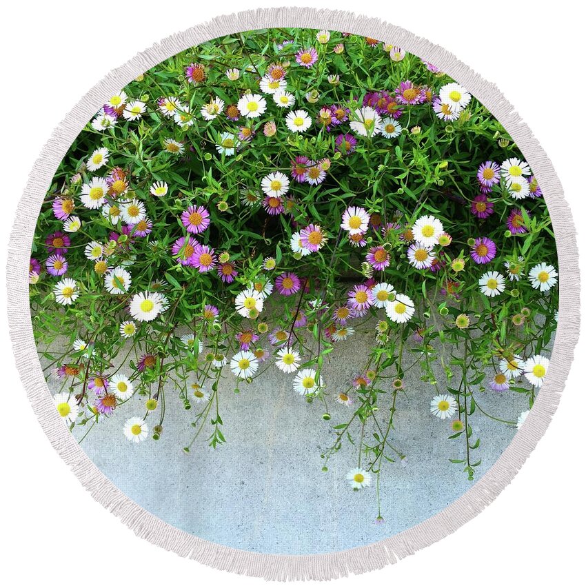  Round Beach Towel featuring the photograph Tiny Flowers by Julie Gebhardt