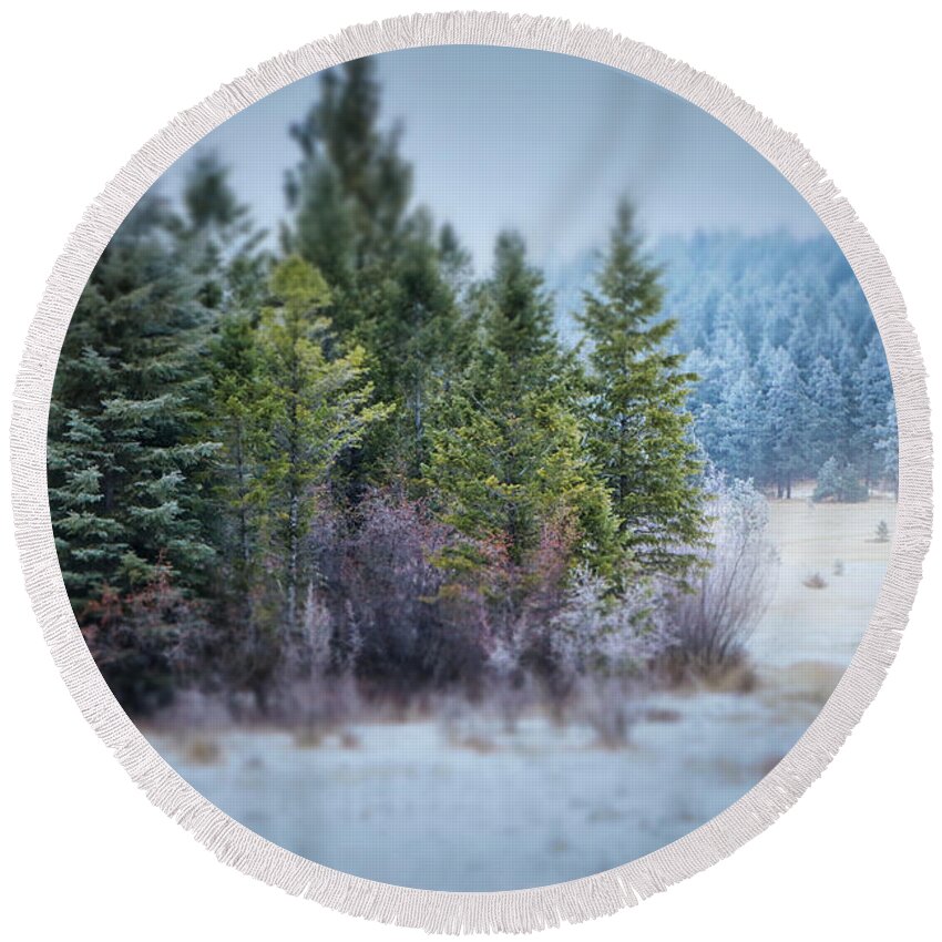 Trees Round Beach Towel featuring the photograph Tiny Trees? by Thomas Nay