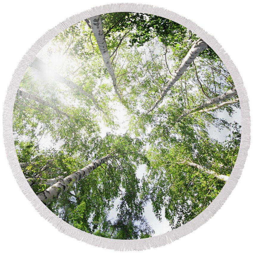 Tree Round Beach Towel featuring the photograph Top Of Summer Birch Trees by Mikhail Kokhanchikov