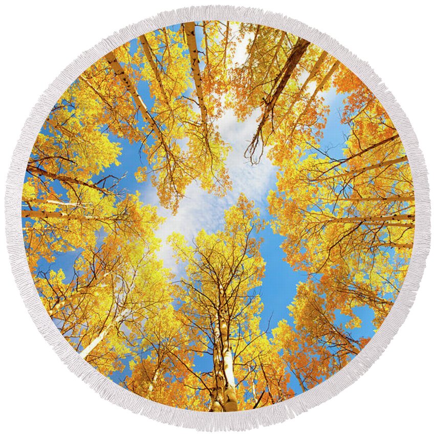 Aspens Round Beach Towel featuring the photograph Towering Aspens by Darren White