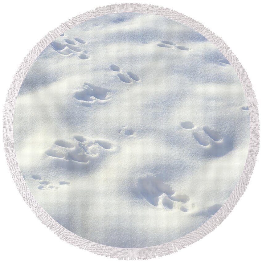 Snow Round Beach Towel featuring the photograph Tracks and Shadows by Kae Cheatham