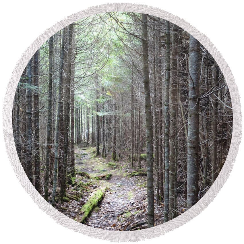 Maine Round Beach Towel featuring the photograph Trail in Northern Maine Woods by Russ Considine