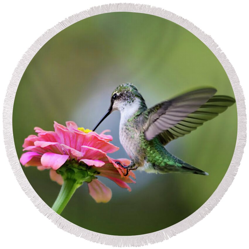 Hummingbird Round Beach Towel featuring the photograph Tranquil Joy by Christina Rollo