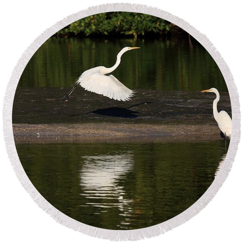 Great Egret Round Beach Towel featuring the photograph Tranquil Scenery 1 by Mingming Jiang