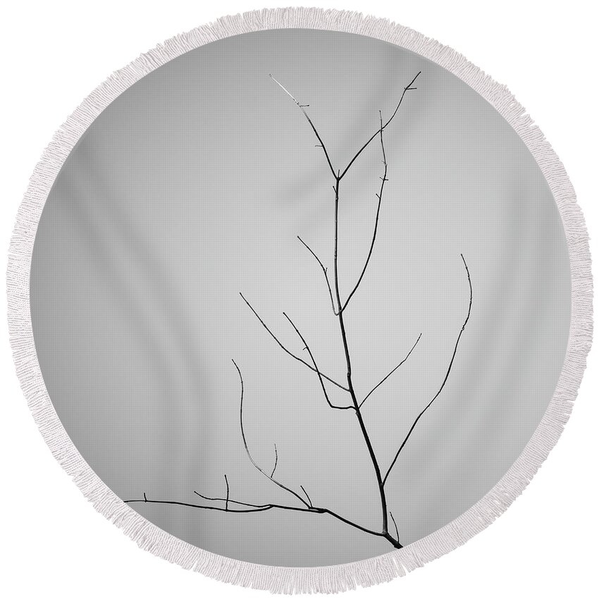 Abstract Round Beach Towel featuring the photograph Tree Branches IV BW by David Gordon