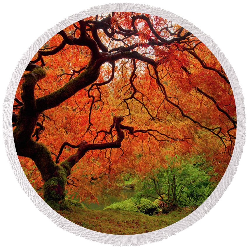 Fall Round Beach Towel featuring the photograph Tree Fire - New and Improved by Darren White