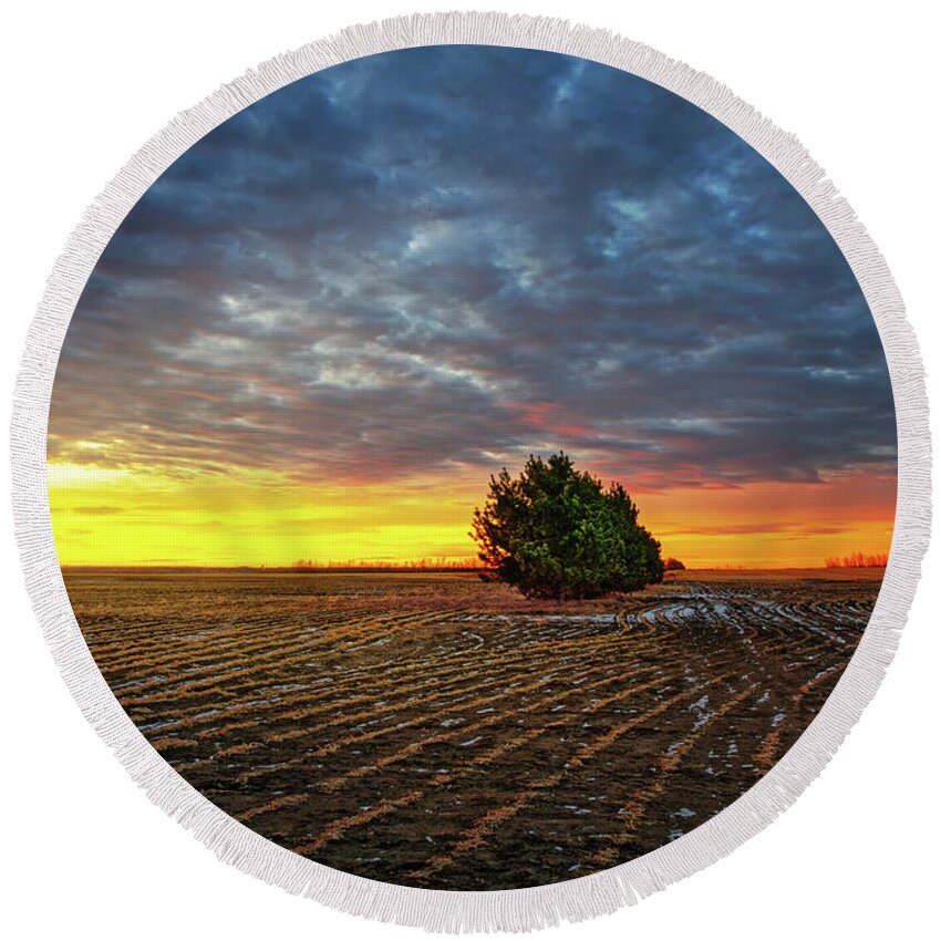 Landscape Round Beach Towel featuring the photograph Tree in a Field by Dan Jurak