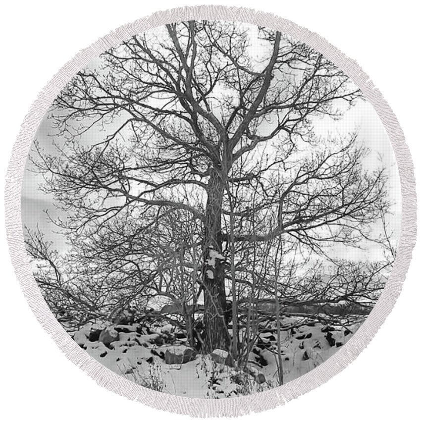 Tree Round Beach Towel featuring the photograph Tree in the Snow by Elaine Berger