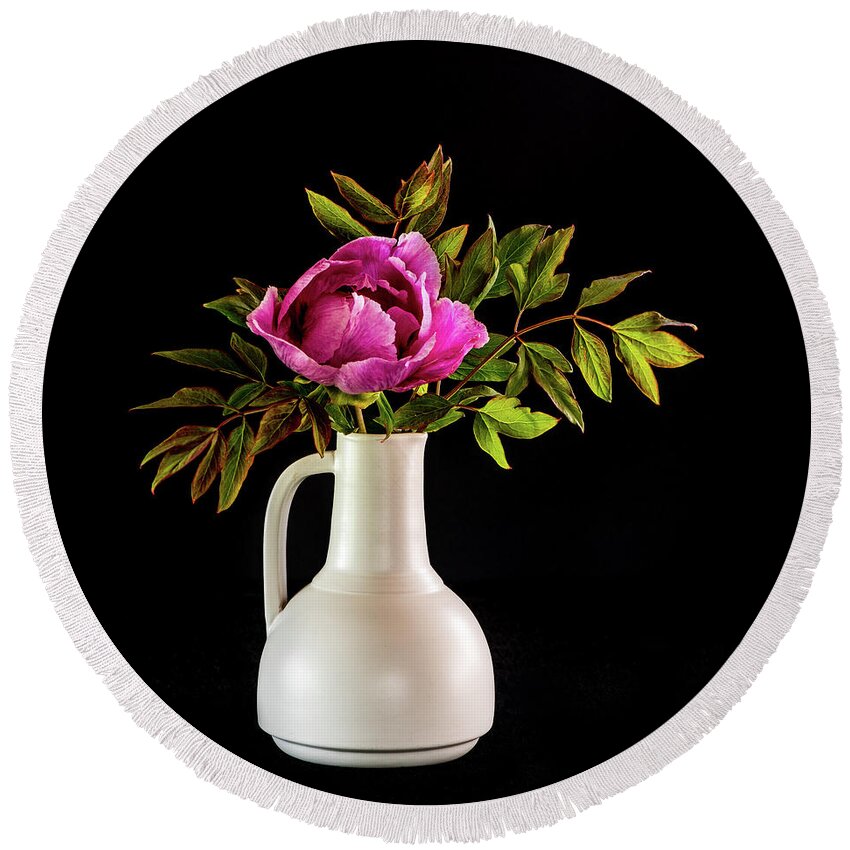 Tree Peony Round Beach Towel featuring the photograph Tree peony Lan He Paeonia suffruticosa rockii in a white vase on a black background by Torbjorn Swenelius