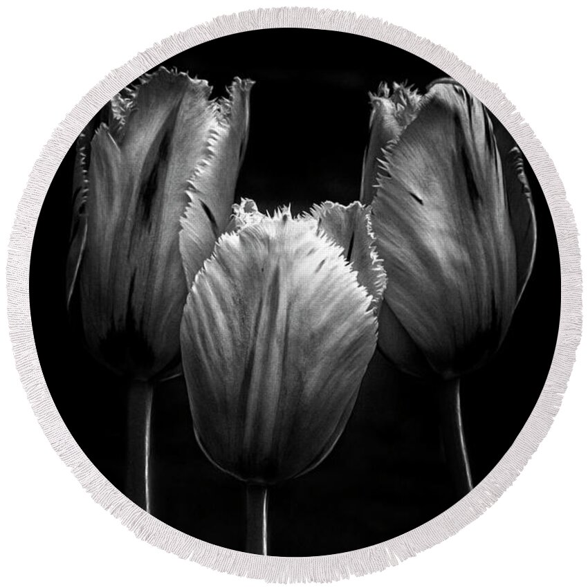 Tree Trio Tulips Strong Contrast Effective Black White Flowers Stylish Beautiful Delightful Pretty Exquisite Gorgeous Expressive Close Up Romantic Poetic Creative Minimalist Minimalism Impressions Attractive Charming Inspiration Singular Fabulous Fantastic Delicate Gentle Bold Mono Contemporary Impressive Stunning Elegant Tender Touching Passion Expressionistic Interpretative Evocative Romance Simplicity Togetherness Together Associative Spiritual Happy Aesthetic Idyllic Meaningful Sentimental Round Beach Towel featuring the photograph TRIO TOGETHENESS-TREE Characters by Tatiana Bogracheva