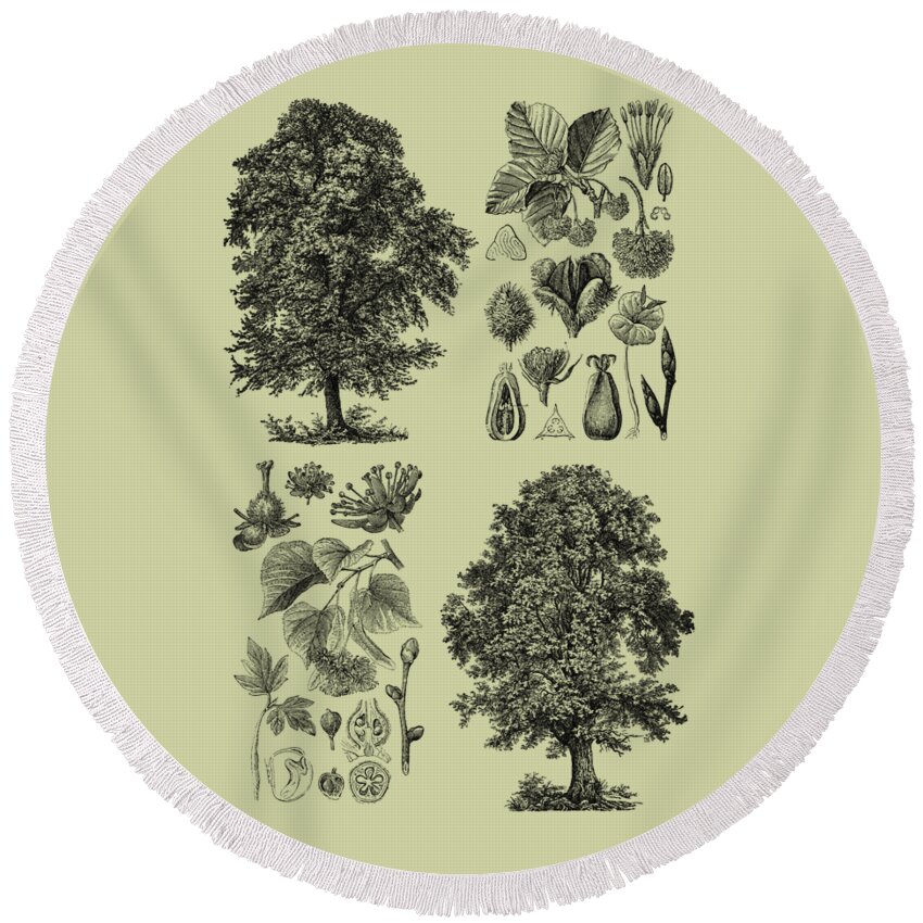 Tree Round Beach Towel featuring the mixed media Trees and seeds by Madame Memento