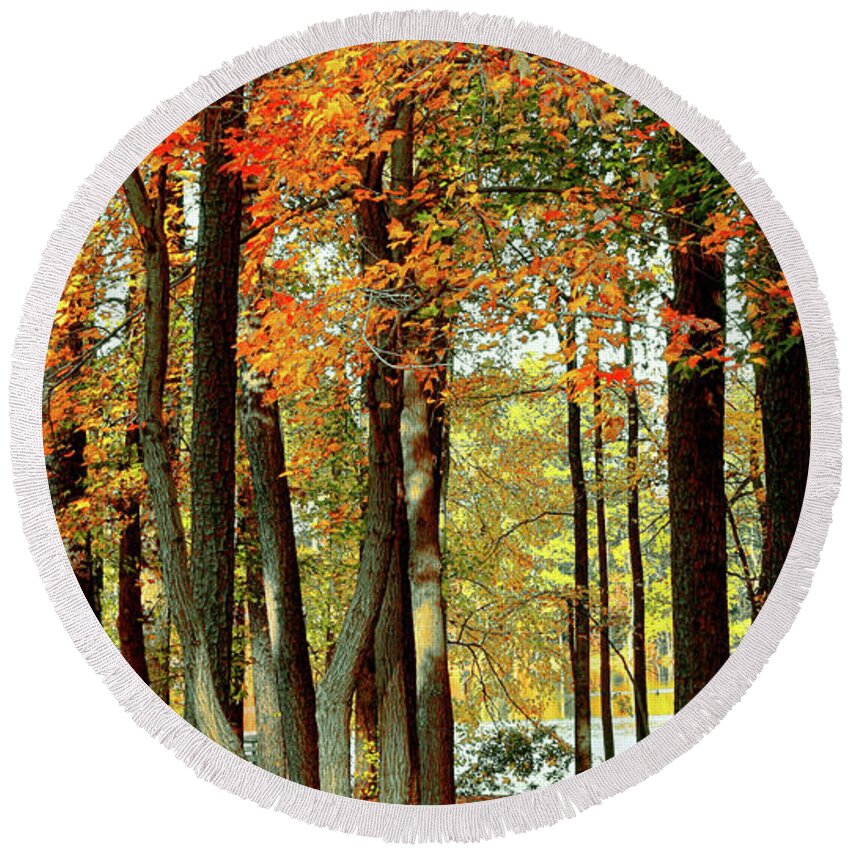 Trees Round Beach Towel featuring the photograph Trees Dazzle in Autumn by Ola Allen