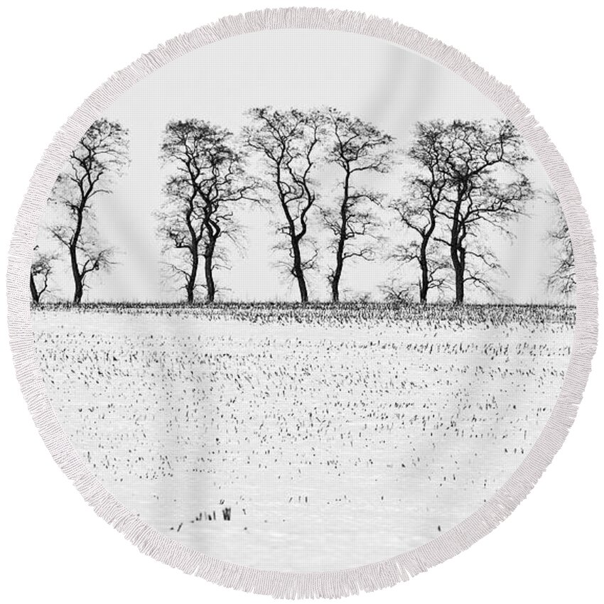 Winter Round Beach Towel featuring the photograph Trees in Snow 5 by Steven Ralser